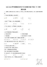 湖南省长沙市宁乡市西部乡镇2023-2024学年八年级下学期期中考试数学试卷(含解析)
