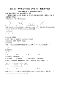 辽宁省鞍山市台安县2023-2024学年七年级下学期期中考试数学试卷(含答案)