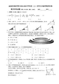 广东省深圳外国语学校2024-2025学年九年级上学期开学考试数学试题