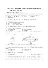 湖南省长沙市师大附中梅溪湖中学2024-2025学年九年级上学期入学考试数学试卷