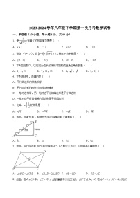 福建省莆田第九中学2023-2024学年八年级下学期月考数学试卷(含答案)