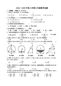 2024.9.3哈尔滨市松雷中学九年级（上）开学测试数学试卷和答案