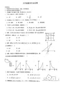 安徽省淮南市高新区2024-2025学年九年级上学期数学开学检测试卷