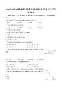 2023-2024学年湖北省武汉市江夏区光谷实验中学八年级（下）开学数学试卷(含解析）