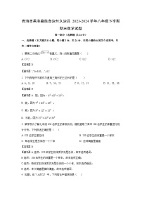 [数学][期末]青海省果洛藏族自治州久治县2023-2024学年八年级下学期期末试题(解析版)