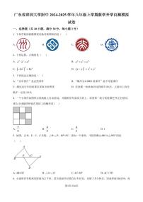 广东深圳大学附中2024-2025学年八年级上学期开学自测模拟数学试题+答案