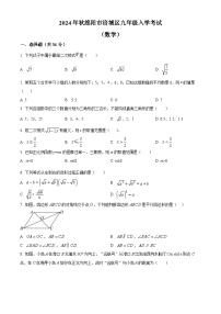 四川省绵阳市涪城区2024-2025学年九年级上学期开学数学试题（原卷版）