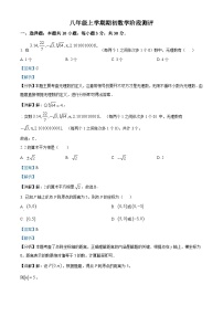 黑龙江省齐齐哈尔市富裕县第二中学2024-2025学年八年级上学期开学数学试题（解析版）