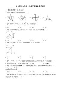 黑龙江省哈尔滨工业大学附属中学校2024-2025学年九年级上学期开学考试数学试题（原卷版）