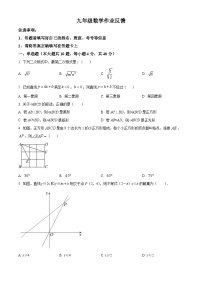 安徽省淮南市高新区2024-2025学年九年级上学期开学检测数学试题（原卷版）