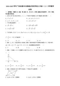 广东省惠州市惠城区培英学校2024-2025学年九年级上学期开学数学试题