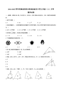 2024-2025学年河南省信阳市淮滨县新里中学九年级（上）开学数学试卷（含答案）