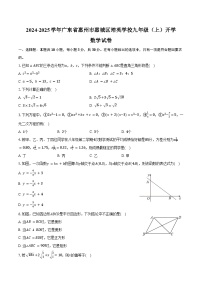 2024-2025学年广东省惠州市惠城区培英学校九年级（上）开学数学试卷（含答案）