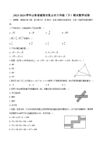 2023-2024学年山东省威海市乳山市八年级（下）期末数学试卷（五四学制）（含答案）