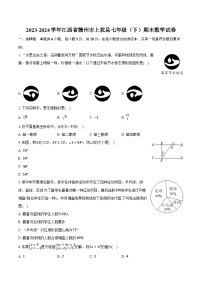 2023-2024学年江西省赣州市上犹县七年级（下）期末数学试卷（含解析）