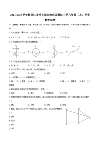 2024-2025学年黑龙江省哈尔滨市南岗区萧红中学九年级（上）开学数学试卷（五四学制）（含答案）