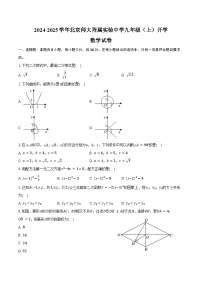 2024-2025学年北京师大附属实验中学九年级（上）开学数学试卷（含答案）