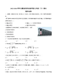 2023-2024学年安徽省阜阳实验学校七年级（下）期末数学试卷（含答案）