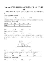 2024-2025学年四川省绵阳市江油市八校联考九年级（上）入学数学试卷(含解析）