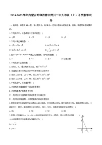 2024-2025学年内蒙古呼和浩特市武川三中九年级（上）开学数学试卷(含解析）