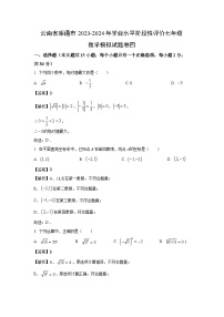 [数学][期末]云南省昭通市2023-2024学年七年级下学期期末模拟试题四(解析版)