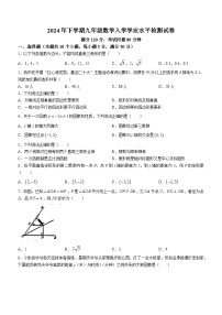 湖南省益阳市资阳区多校联考2024-2025学年九年级上学期开学考试数学试题(无答案)