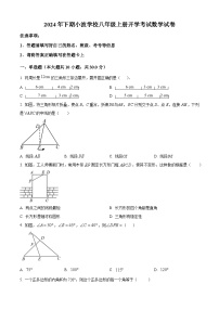 湖南省益阳市沅江市南大膳镇小波学校2024-2025学年八年级上学期开学数学试题（原卷版）