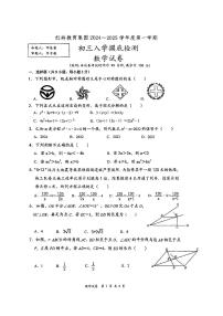 广东省深圳市红岭教育集团2024-2025学年九年级上学期开学考试数学试题