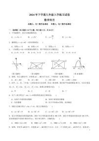 湖南省长沙市+中雅培粹学校2024-2025学年九年级上学期数学入学考试