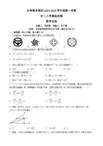 广东省深圳市红岭教育集团2024-2025学年九年级上学期开学考试数学试题(无答案)