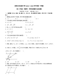 广东省深圳市东湖中学2024-2025学年九年级上学期开学考试数学试题