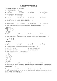 安徽省池州市青阳县四中等校2024-2025学年九年级上学期开学考试数学试题(无答案)