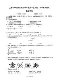 安徽省芜湖市荟萃中学2024-2025学年八年级上学期开学考数学试卷