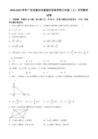 [数学]广东省惠州市惠城区培英学校2024～2025学年九年级上学期开学试题(有详解)