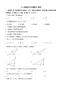 湖南省长沙市青竹湖湘一外国语学校2024-2025学年八年级上学期开学考试数学试题（原卷版+解析版）