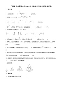 广西南宁市青秀区荔英中学2024-2025学年七年级上学期开学分班考试数学试题 （原卷版+解析版）