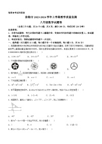 云南省红河州弥勒市2023-2024学年八年级上学期期末数学试题(无答案)