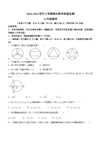 云南省红河州金平县2023-2024学年九年级上学期期末数学试题(无答案)