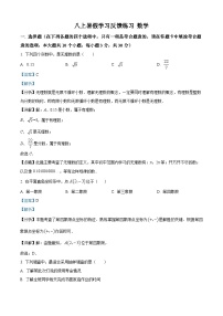 湖南省长沙市青竹湖湘一外国语学校2024-2025学年八年级上学期开学考试数学试题（解析版）