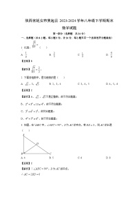 [数学][期末]陕西省延安市吴起县2023-2024学年八年级下学期期末试题(解析版)