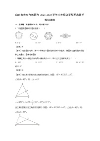 [数学][期末]山东省青岛市莱西市2023-2024学年八年级上学期期末模拟试题(解析版)