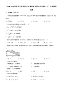 四川省绵阳市梓潼县五校联考2024-2025学年七年级上期入学数学试题（原卷版+解析版）