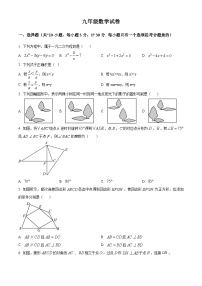 陕西省西安市碑林区工业大学附属中学2024-2025学年九年级上学期开学数学试题（原卷版+解析版）