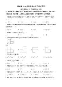 海南省2024年初中学业水平考试数学试卷（原卷版+解析版）