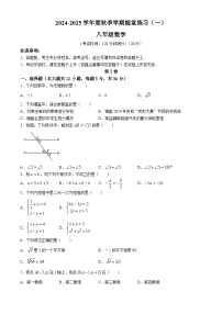 广西南宁市第三中学青秀校区2024-2025学年八年级上学期开学检测数学试题(无答案)