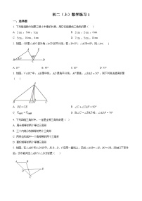 北京市北京交通大学附属中学2024-2025学年八年级上学期开学考试数学试题（原卷版）