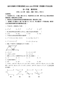 江苏省扬州市梅岭教育集团2022-2023学年七年级下学期期中数学试题