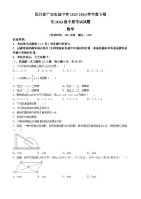 四川省广安市广安友谊中学2023-2024学年八年级下学期期中数学试题(无答案)