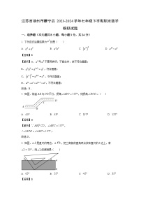 [数学][期末]江苏省徐州市睢宁县2023-2024学年七年级下学期期末模拟试题(解析版)