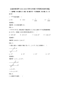 [数学][期末]云南省普洱市2023-2024学年七年级下学期期末试题(解析版)